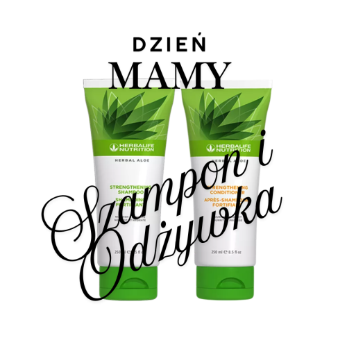 Dzień.png